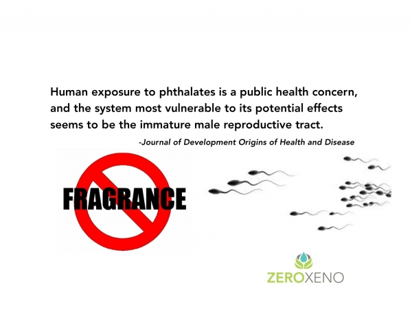 Perfume or Poison? Micro*enis & Phthalates?!
