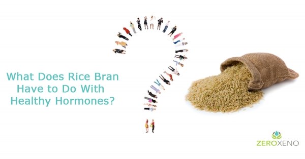 The Chemopreventive Case For Fermented Rice Bran