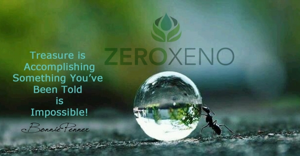 Foods That Detoxify Xenoestrogens
